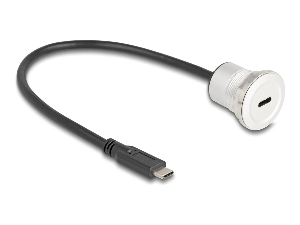 DELOCK USB 10 Gbps Type-C Einbaubuchse