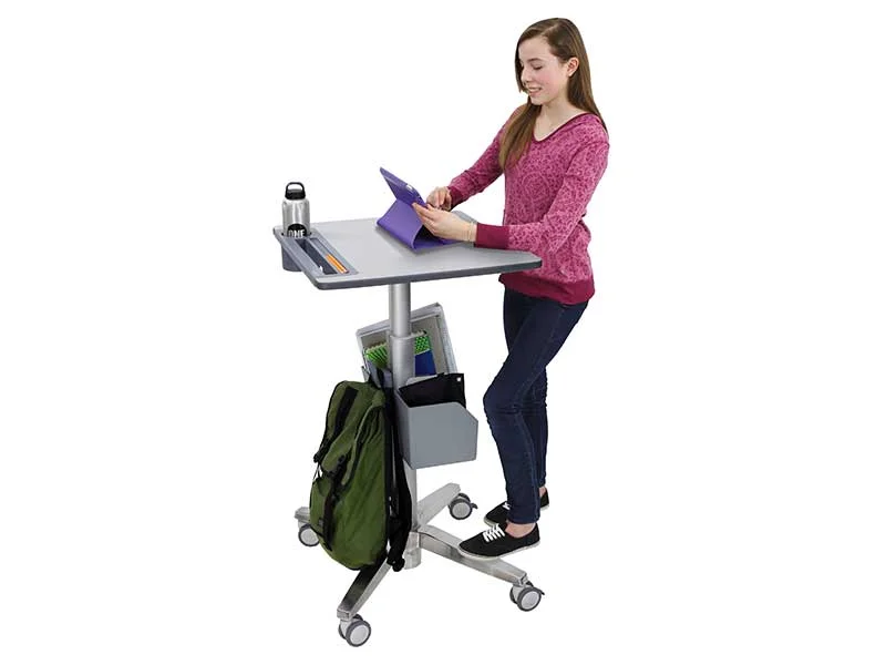 ERGOTRON LearnFit II