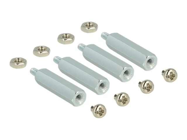 DELOCK Befestigungsset für Raspberry Pi