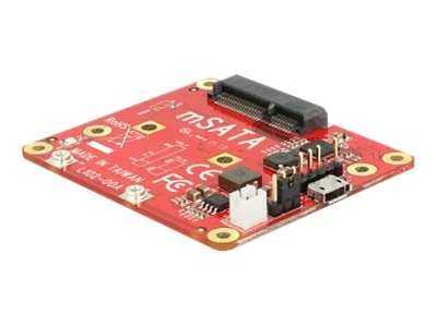 DELOCK Konv Raspberry Pi USB 2.0 > mSATA