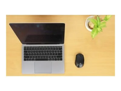 MH MW6200 USB-A Funkmaus 6Tasten schwarz