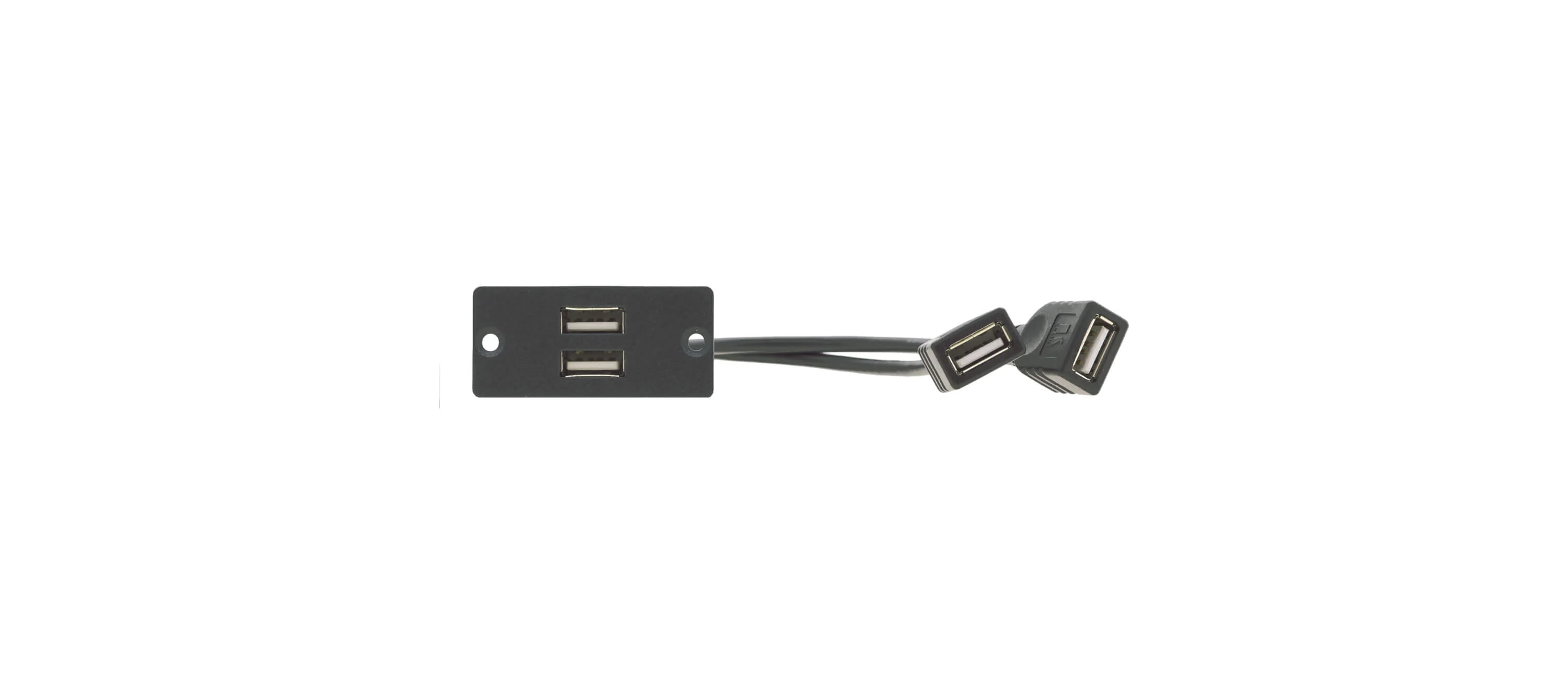 WU-2AA (B) – Wall Plate Insert - 2 x USB 2.0 (A/A) - Black