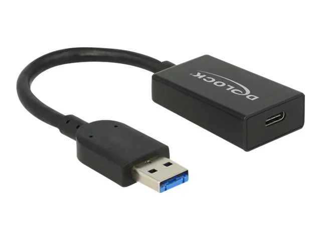 DELOCK Konverter USB 3.1 Gen 2 Typ-A