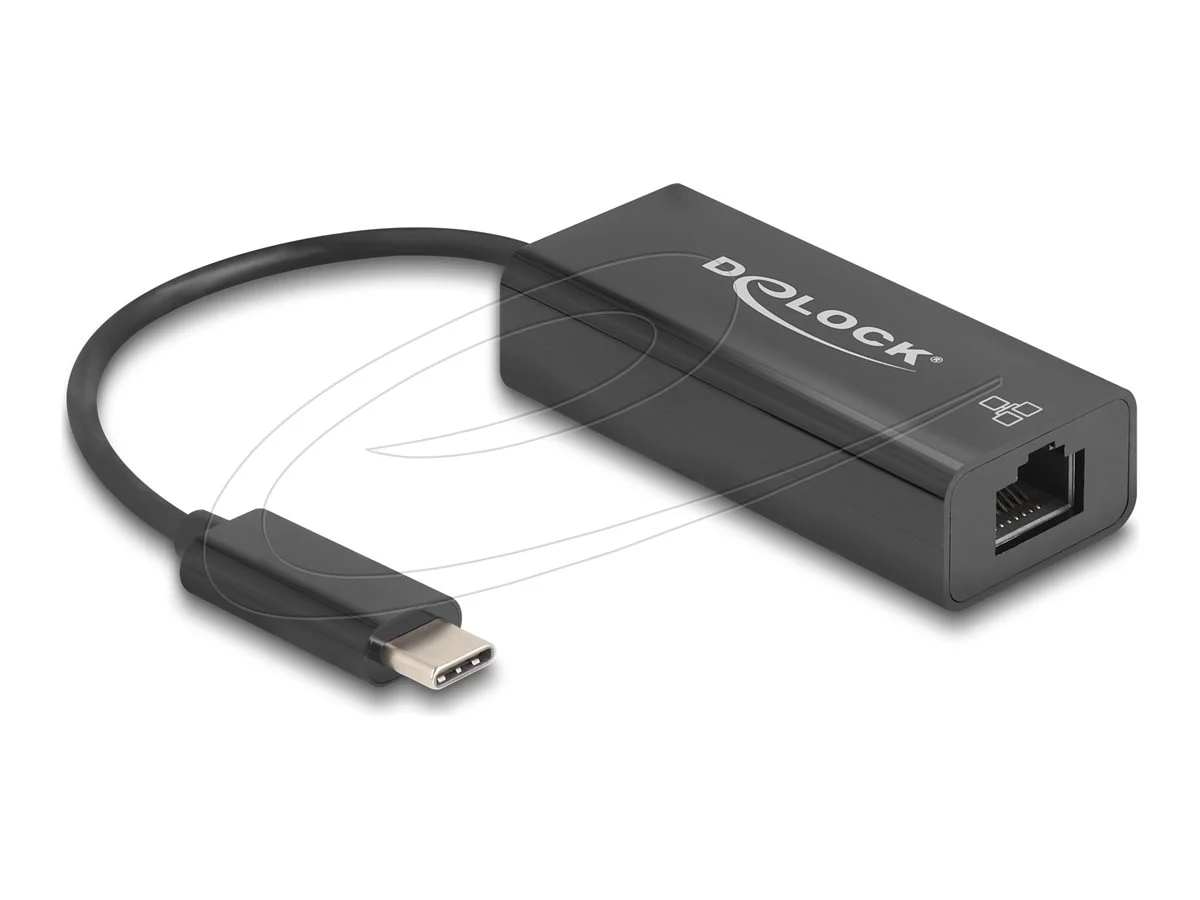 DELOCK USB 2.0 Type-C Adapter zu 10/100