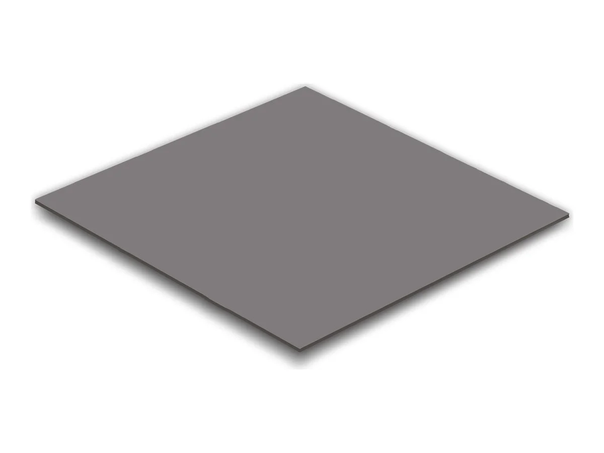 DELOCK Wärmeleitpad 100x100x1mm für M.2