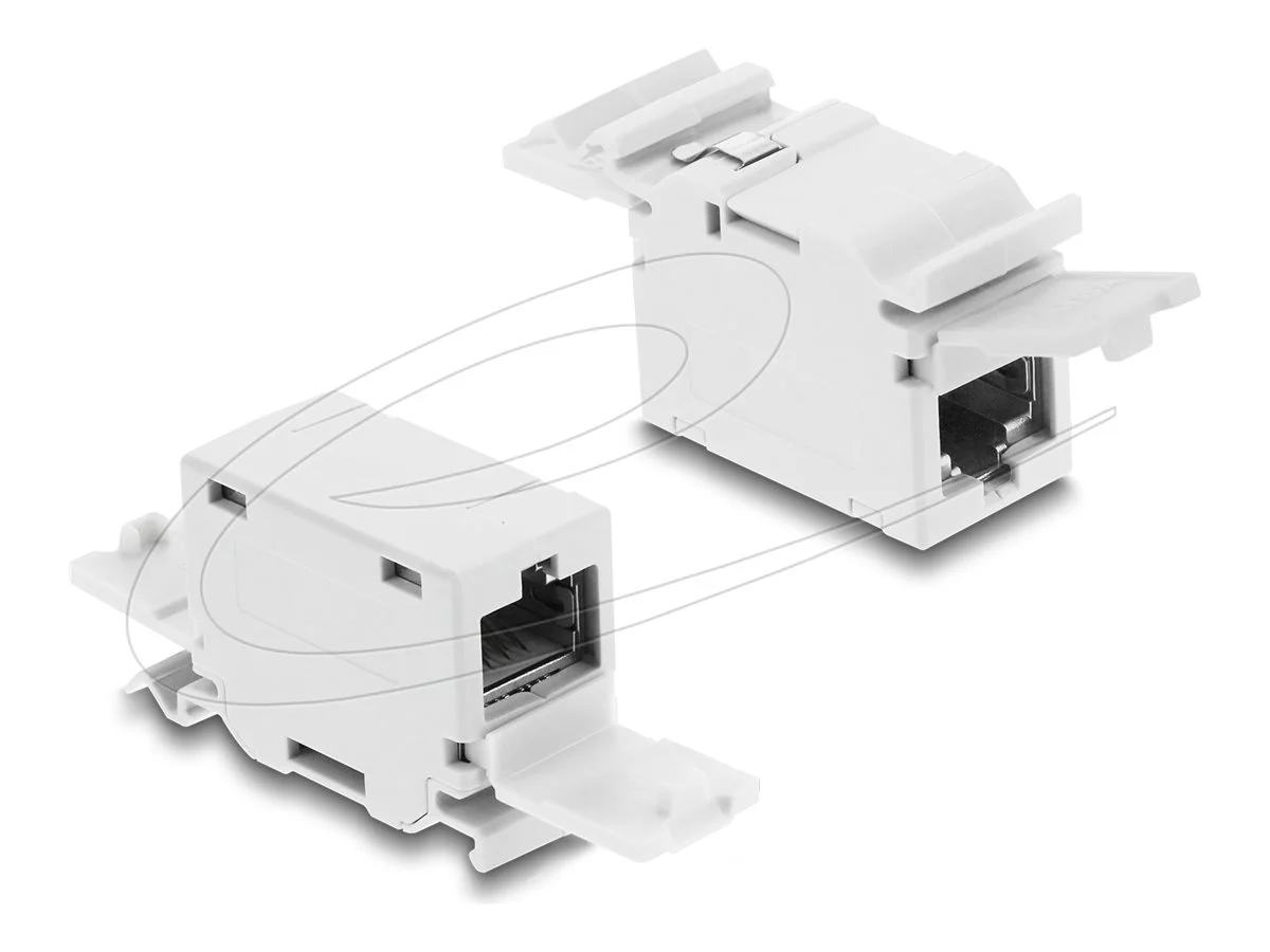DELOCK RJ45 Kupplung Cat.6A Buchse zu Bu