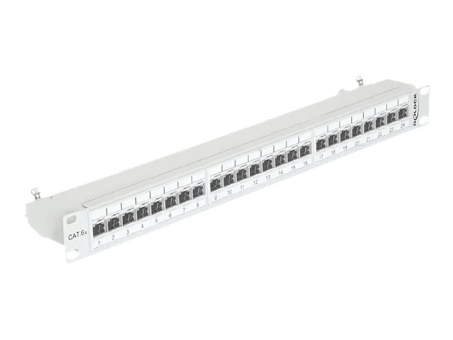 DELOCK 19 Patchpanel 24Port Cat.6A grau