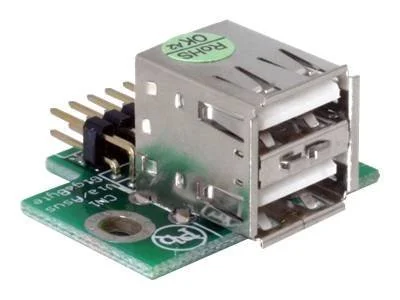 DELOCK MBz USB Pinhead St.>2xUSB2.0-A Bu