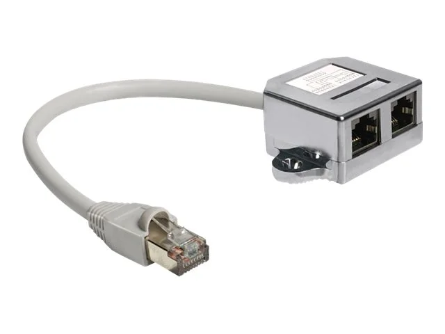 DELOCK RJ45 Port Doppler 1 x RJ45 Stecke