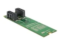DELOCK Konverter M.2 Key B+M > 2 x SATA
