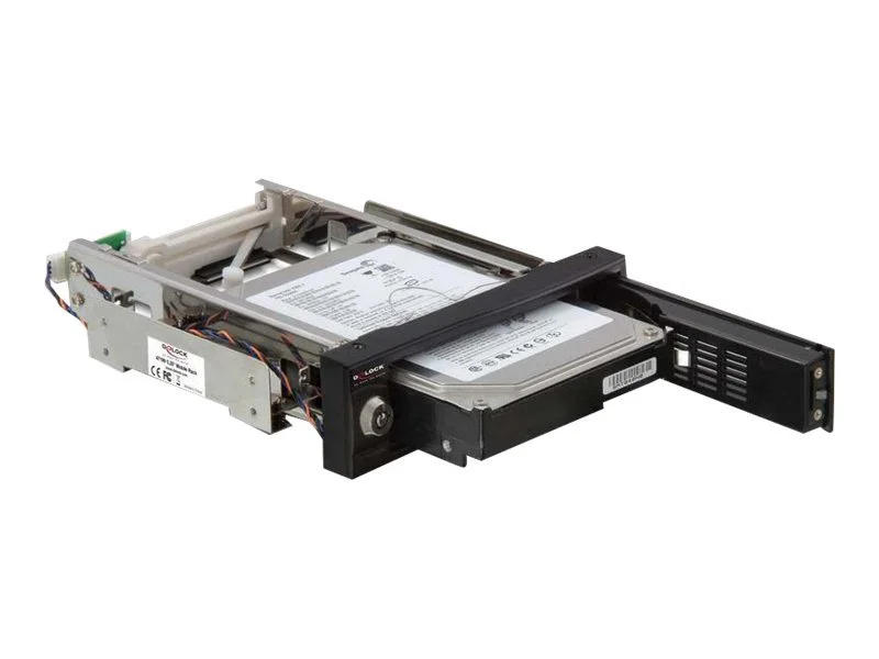 DELOCK Wechselr SATA 1x Backplane m.Luef