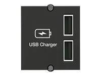 BACHMANN Custom Modul USB Doppel-Charger