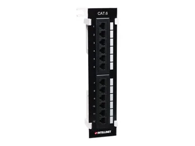 INT 12-Port Cat6 Patchpanel Wandmontage