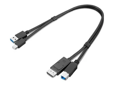 LENOVO ThinkStation USB-A To DP Cable
