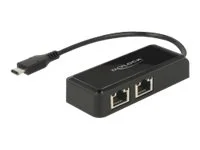 DELOCK Adapter SuperSpeed USB 2 x LAN