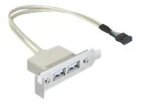 DELOCK Slotblech USB 2.0 2xPort Low Prof