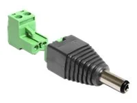 DELOCK Adapter Terminalblock > DC