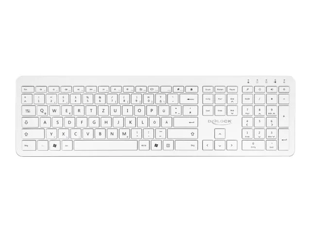 DELOCK USB Tastatur 2,4GHz kabellos