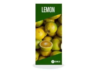 OKI FASTDISP A3 standing METAL 30x90CM