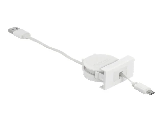 DELOCK Easy 45 Modul USB2.0 Ausrollkabel