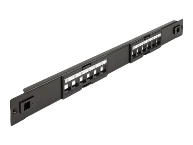 DELOCK 48,3cm Keystone Patchpanel 12