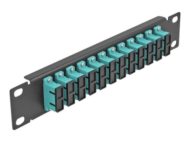DELOCK 30,5cm LWL Patchpanel 12P SC aqua