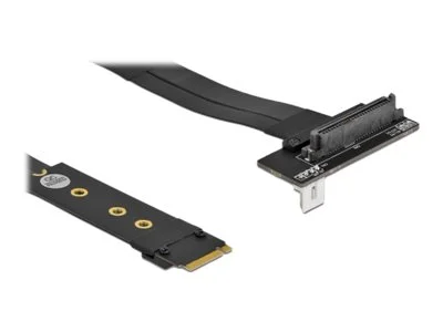 DELOCK M.2 Key M zu U.2 SFF-8639 NVMe