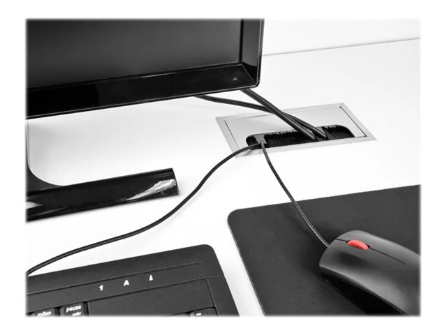 DELOCK Tischeinbau Bürste 300x120x28mm