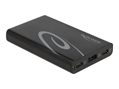 DELOCK USB Ladegerät 2 x USB Type-C 60 W