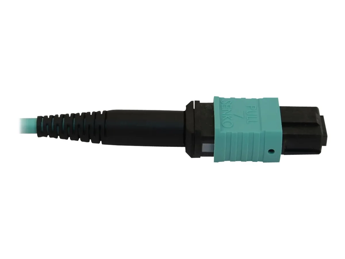 EATON TRIPPLITE Fiber Optic Cable