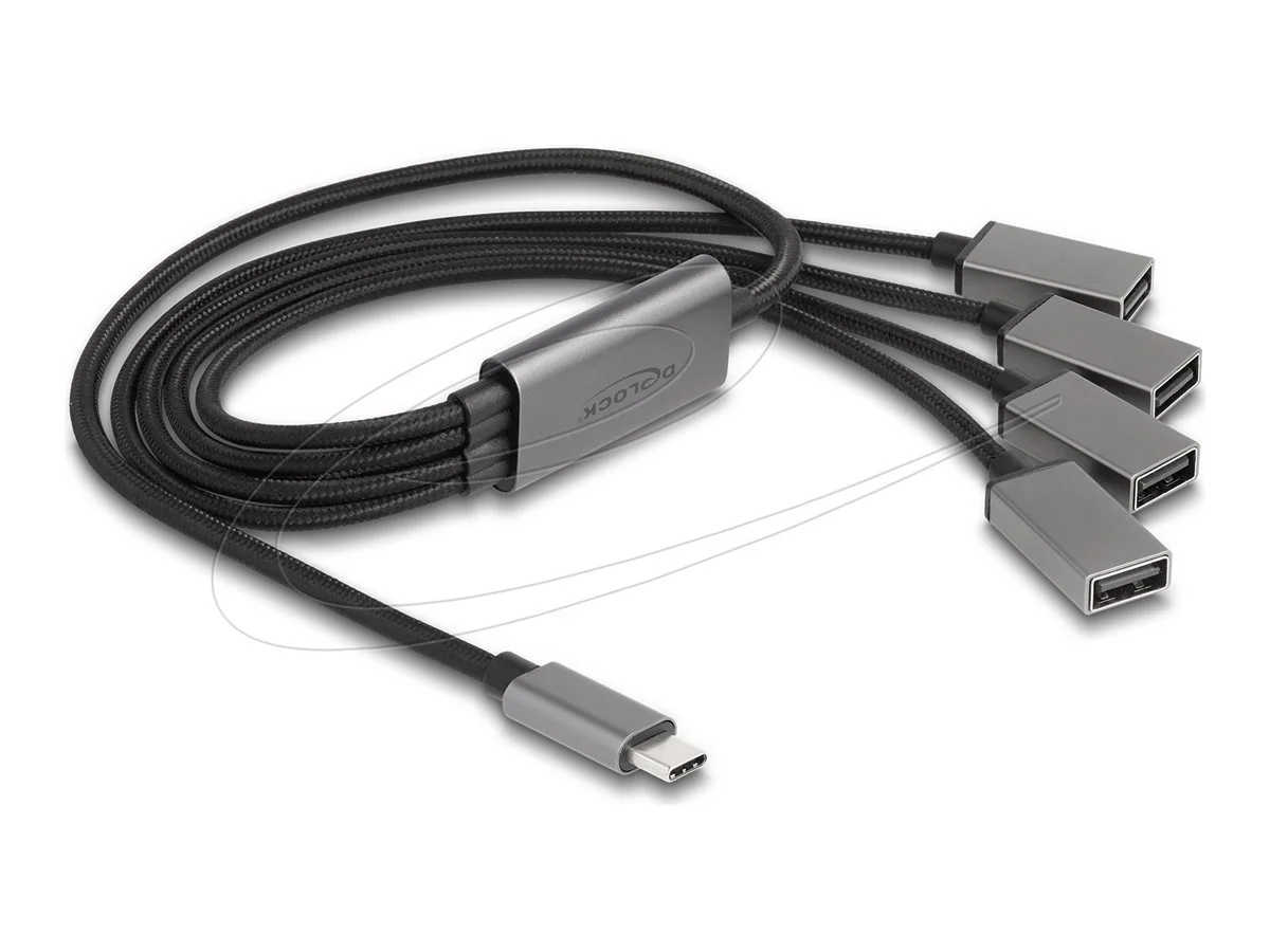 DELOCK 4 Port USB 2.0 Kabel-Hub Type-C