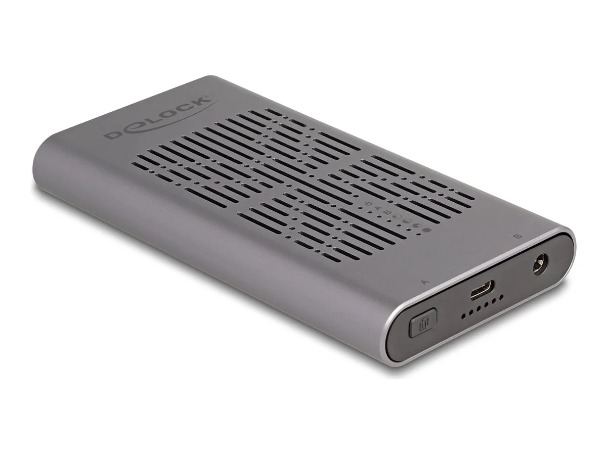 DELOCK Externes USB 20 Gbps Geh 2 x M.2