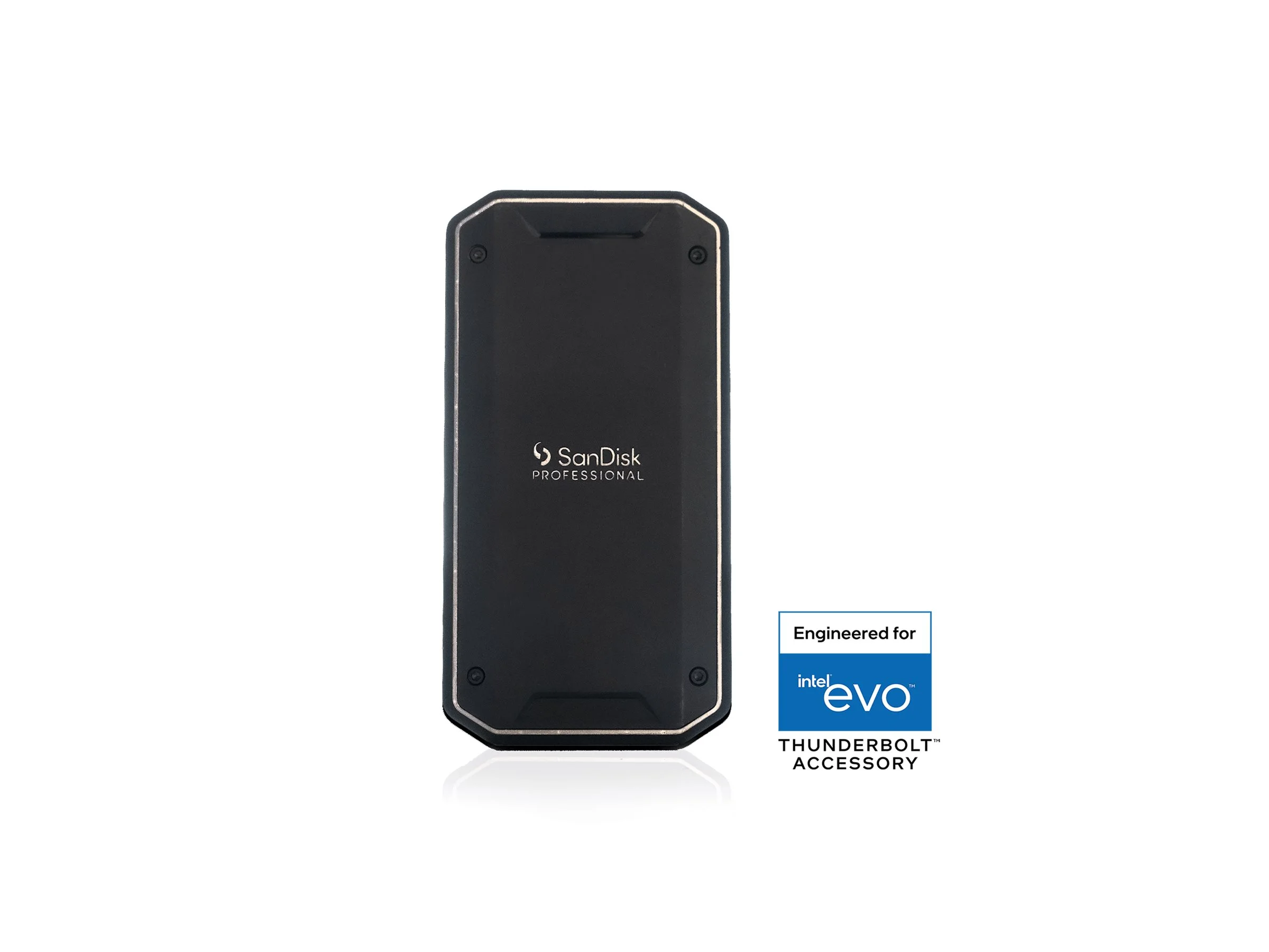 SANDISK Prof. G40 2TB External SSD
