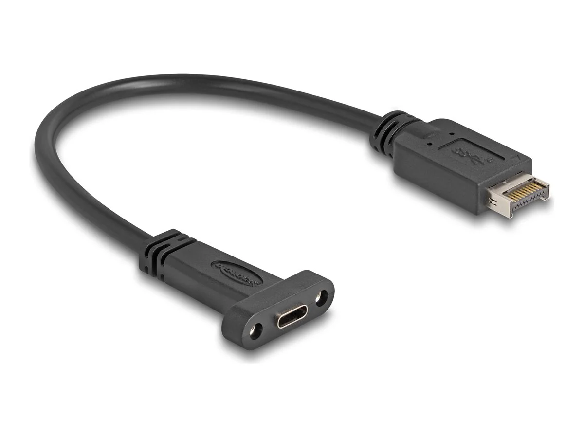 DELOCK USB 10Gbps Kabel Typ-E Key A 25cm