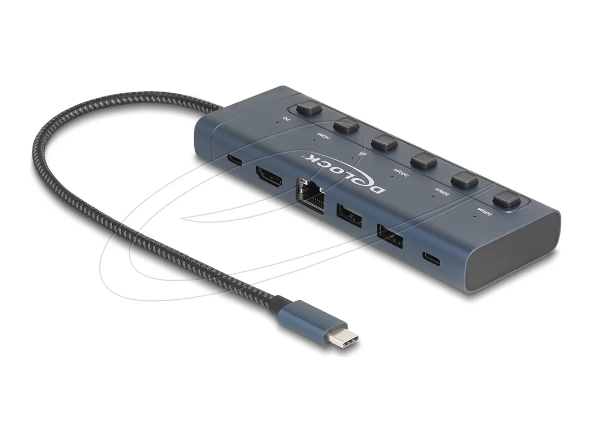 DELOCK USB Type-C Dockingstation 4K