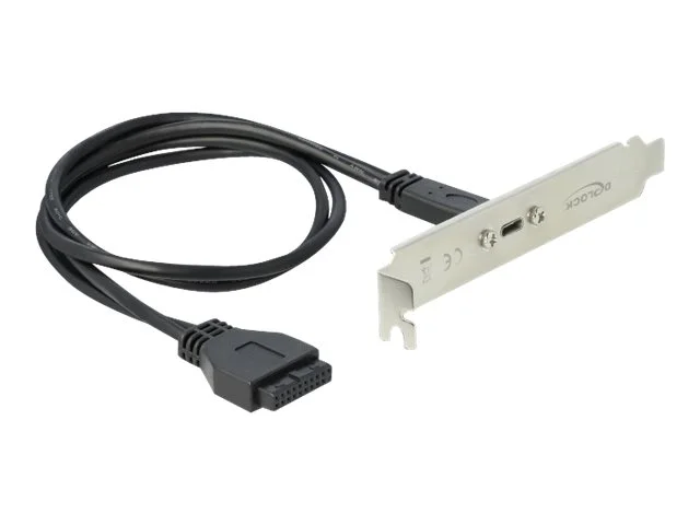 DELOCK Slotblech mit 1 x USB Type-C Port