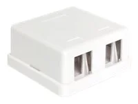 DELOCK Keystone Leergehäuse 2 Port