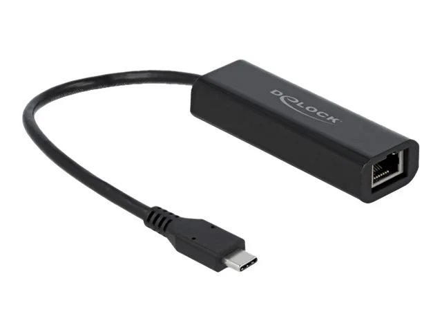 DELOCK Ada USB Type-C zu 2,5 Gigabit LAN