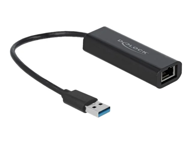 DELOCK Ada USB Type-C zu 2,5 Gigabit LAN