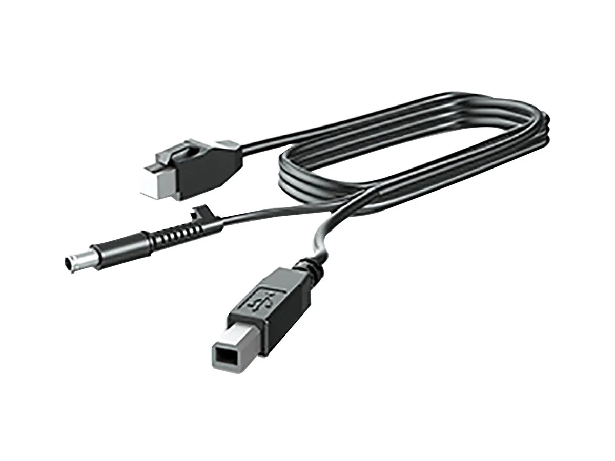 HP 300cm DP+USB PWR CABLE