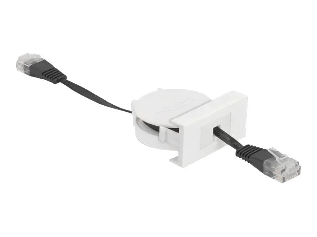 DELOCK Easy 45 Modul Aufrollkabel RJ45