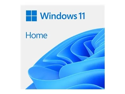 MS 1x Win 11 Home GGK 64Bit DVD OEM (EN)