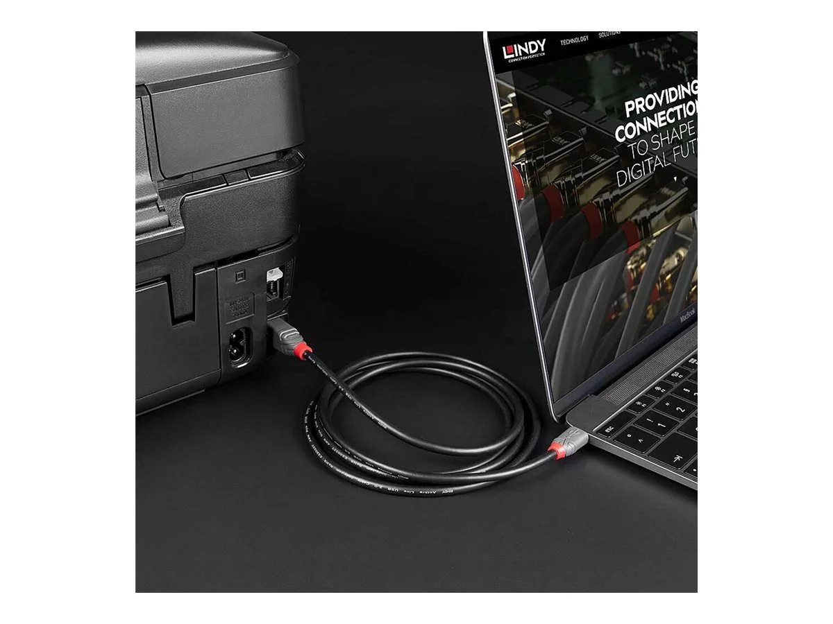 LINDY 1m USB 2.0 Type C an B Kabel Anthr