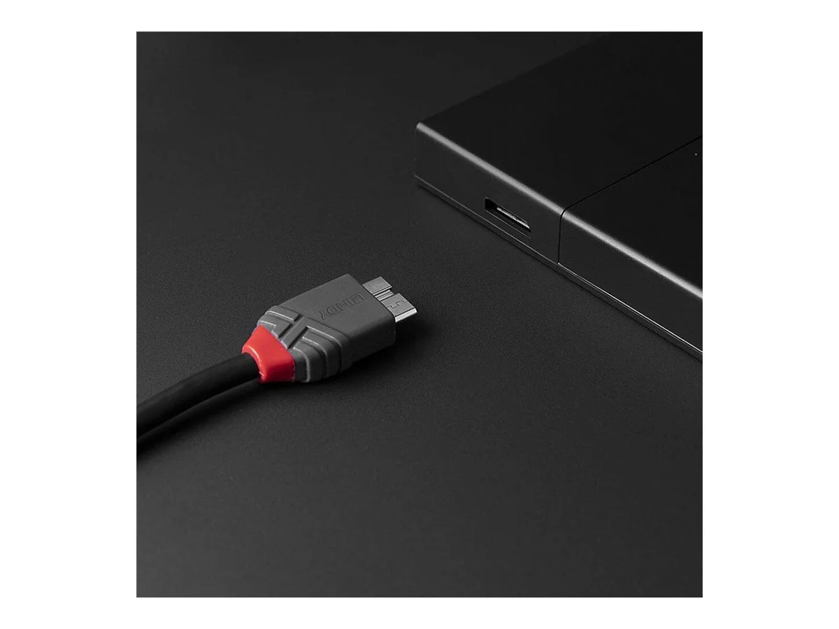 LINDY 2m USB 3.2 Typ C an Micro-B Kabel