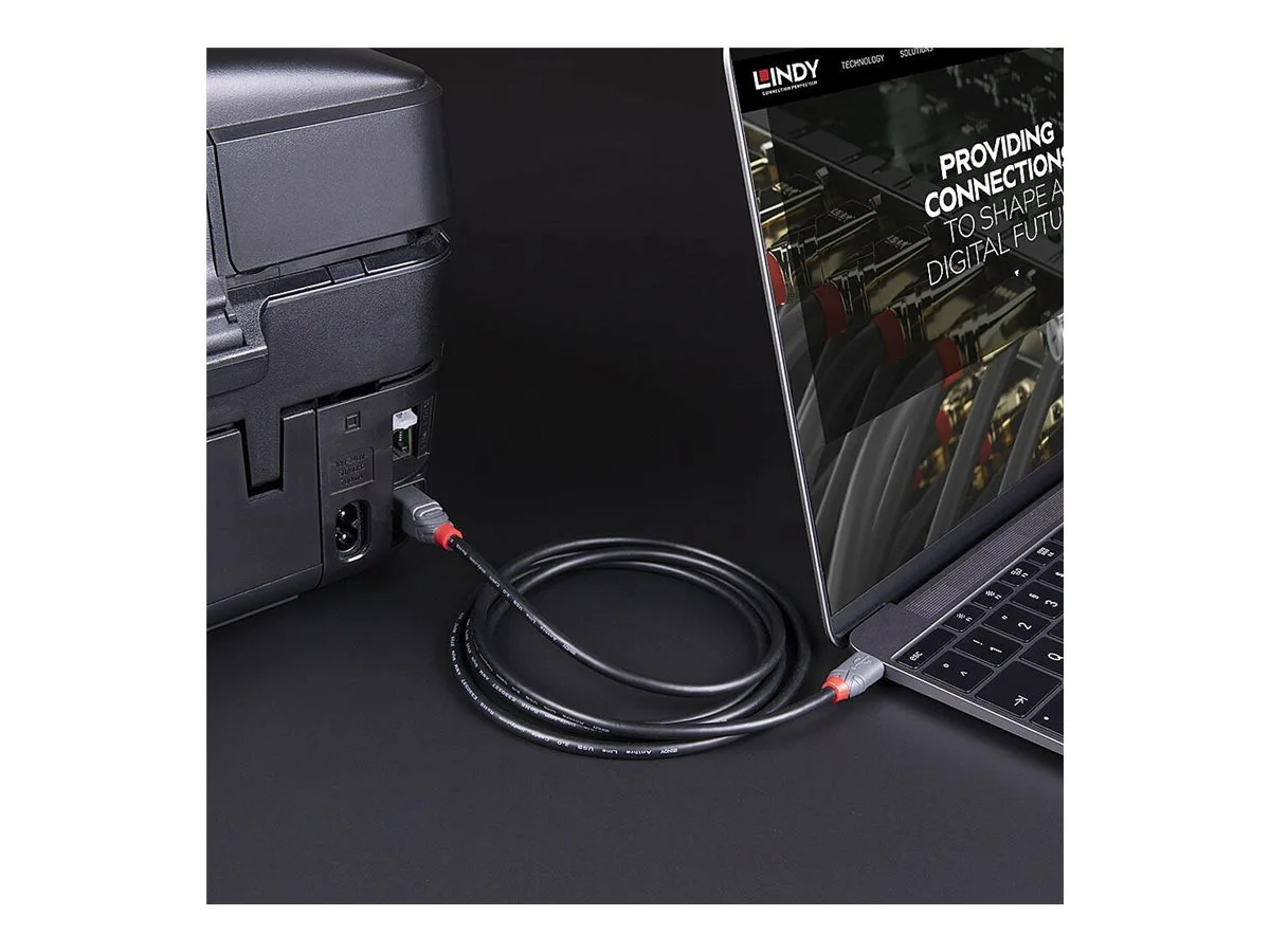 LINDY 2m USB 3.2 Typ C an B Kabel Anthr