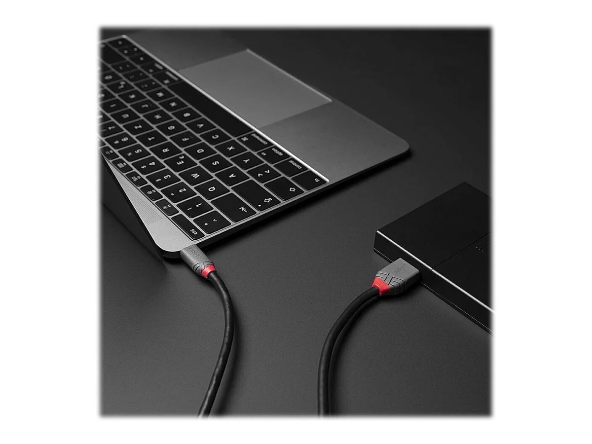 LINDY 0,5m USB 3.2 Typ C an Micro-B Kabe