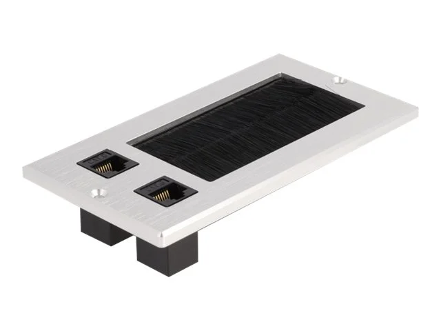 DELOCK Kabeldurchführung Bürste 2x RJ45