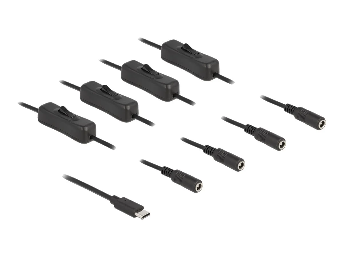 DELOCK Kabel USB Type-C zu 4 x DC 1 m