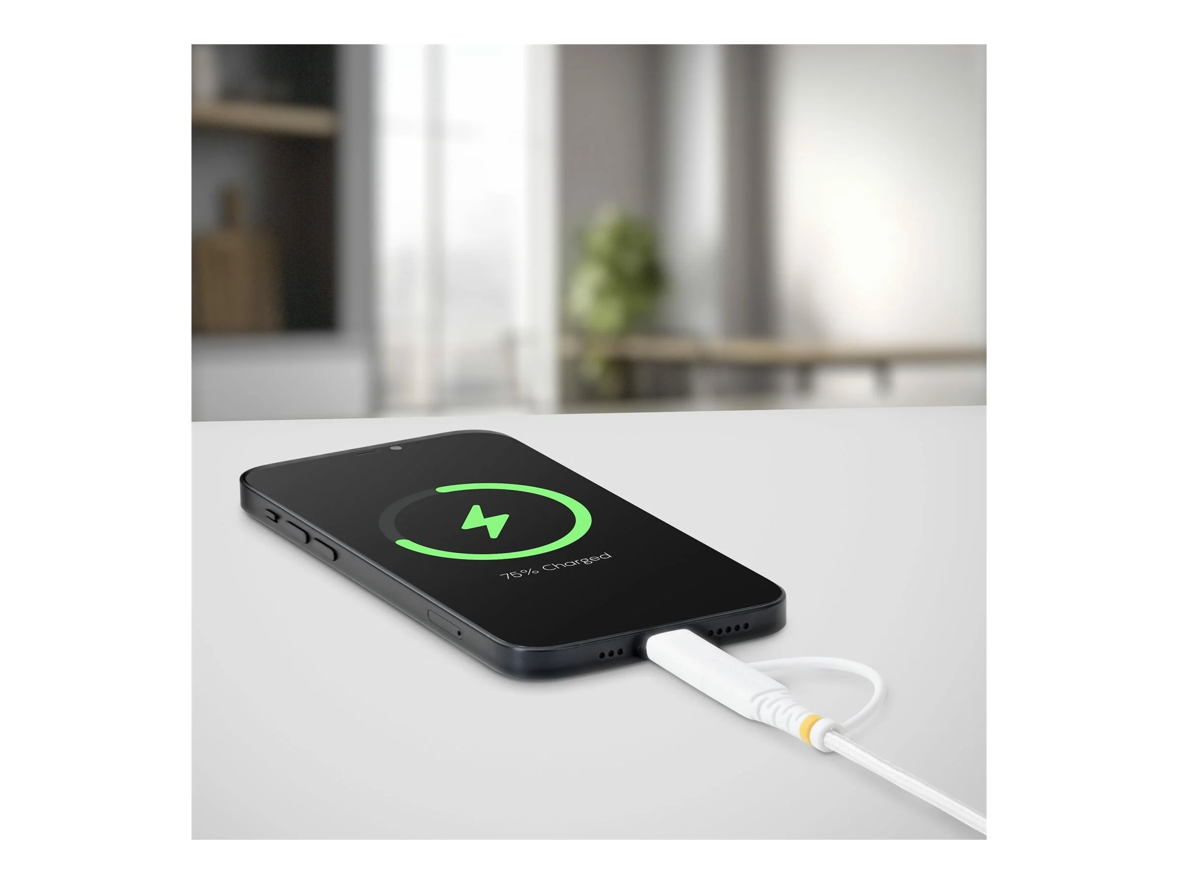 STARTECH 1m 3ft 2-in-1 Rugged USB-C