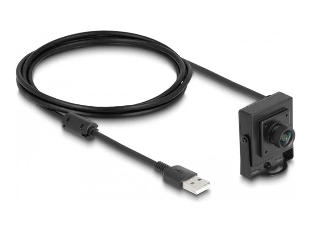 DELOCK USB 2.0 Kamera 2,1megapixel 100